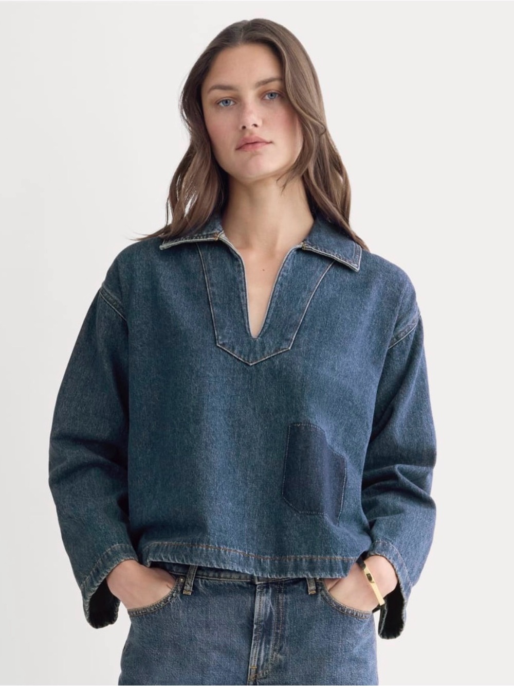 Everlane The Cropped Denim Tunic